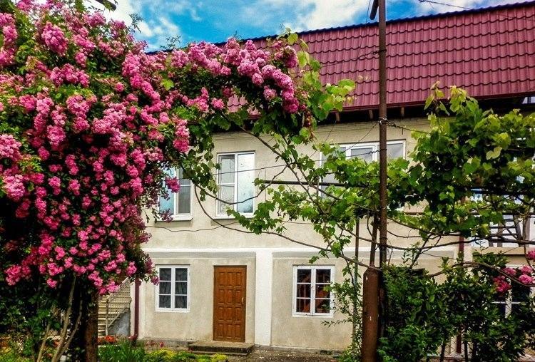 Guest House Anna Soechoemi Buitenkant foto
